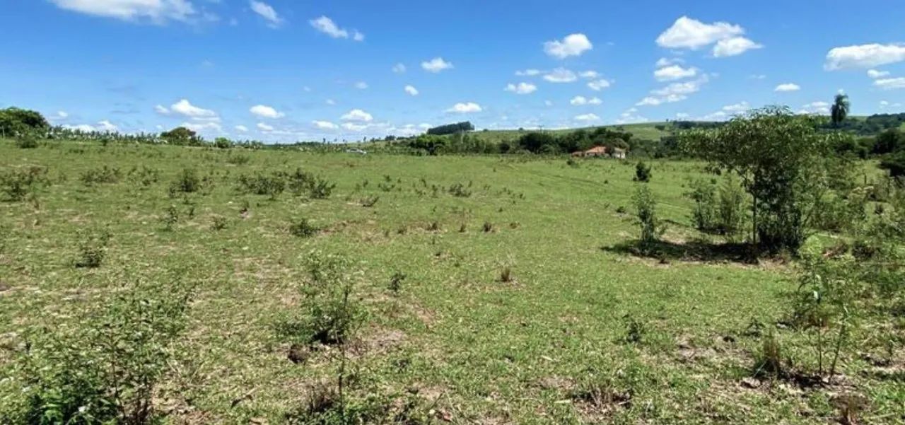 Vende-se Sítio de 4.8 alqueires em Carlopolis PR - Foto 4