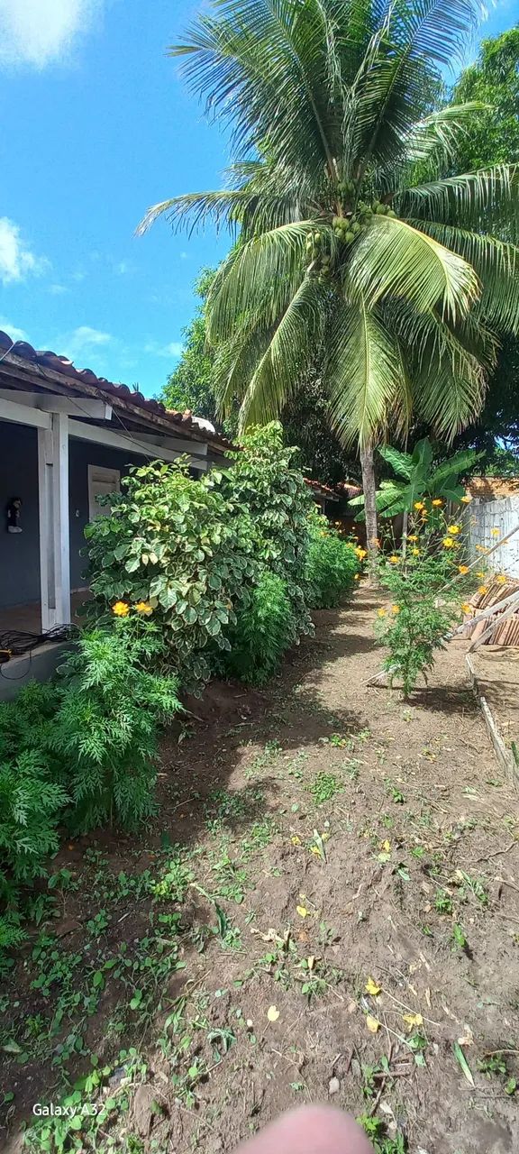 Linda e harmoniosa casa em Cururipe - Foto 5