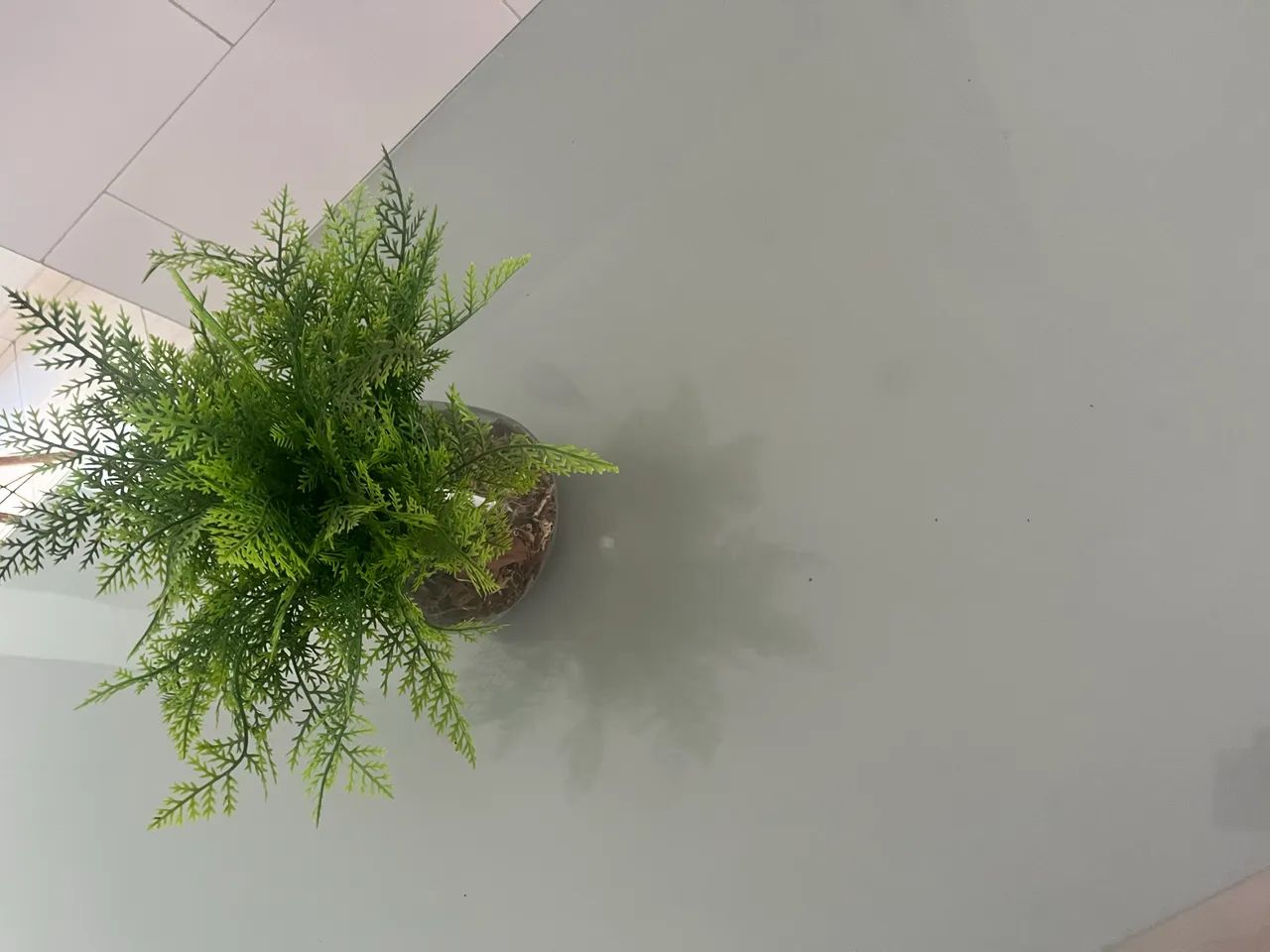 Mesa  - Foto 2