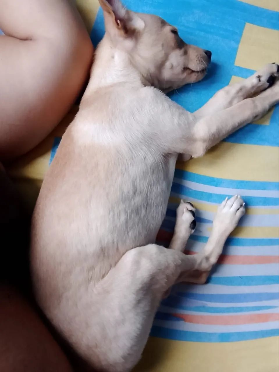 Doação  - Foto 4