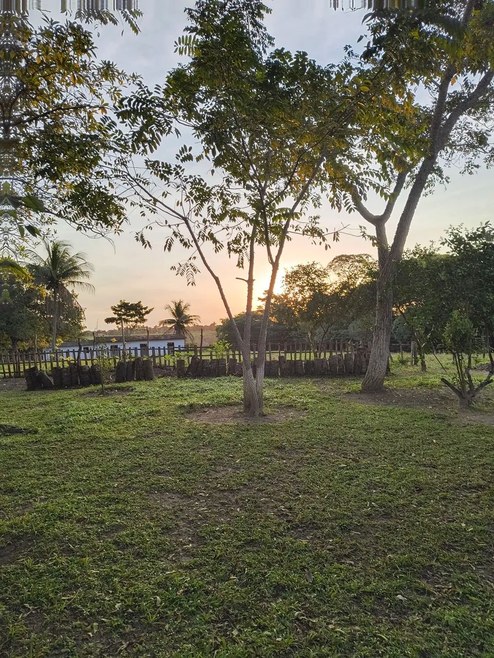 VENDO/ TROCO OU ALUGO CHÁCARA ESCRITURADA - Foto 5