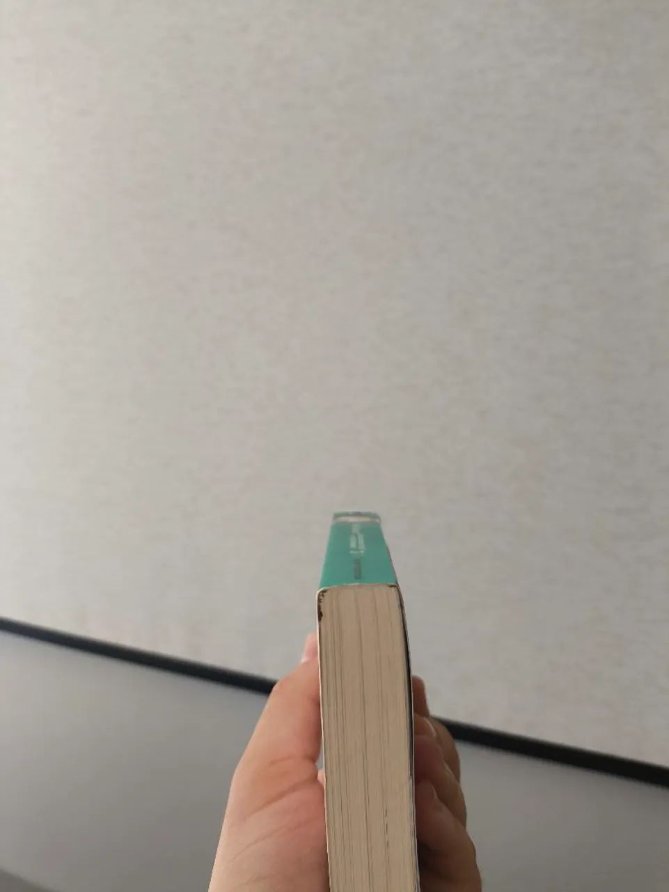 Novel Re:Zero VOL 3 - Foto 3