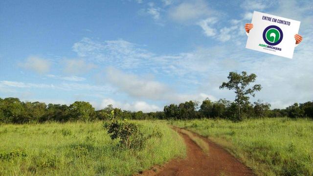 Fazenda na região livramento - Foto 12