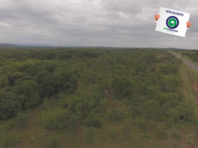 Fazenda 200 ha na beira do asfalto - Foto 12