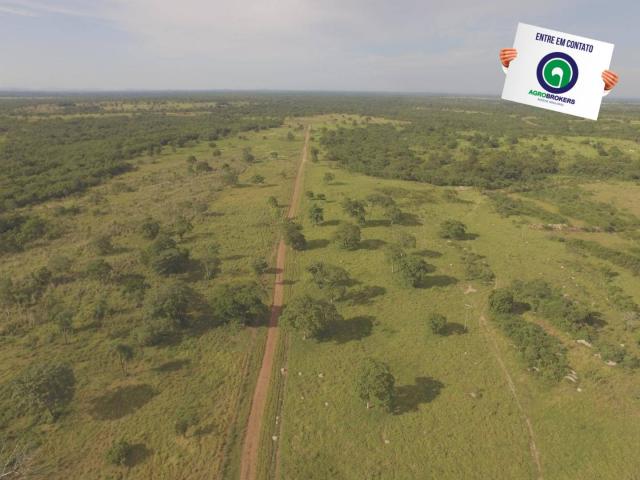 Fazenda 1000 ha região do olho d´água - Foto 2