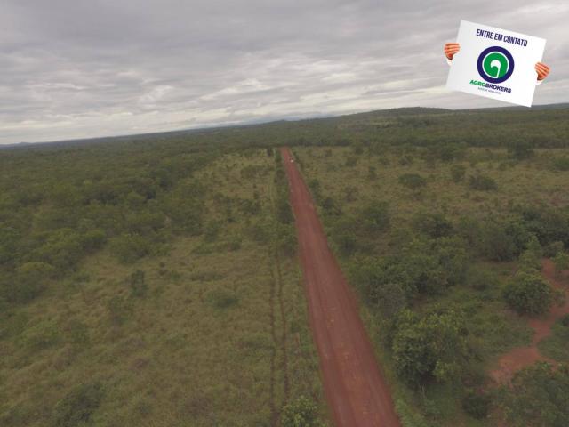 Fazenda 200 ha na beira do asfalto - Foto 4