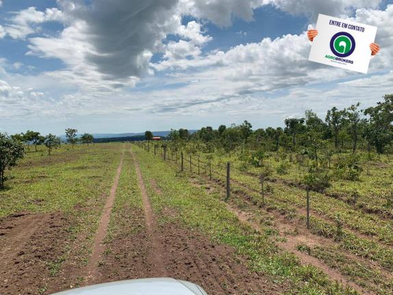 Fazenda 100 ha região de bom jardim - Foto 3