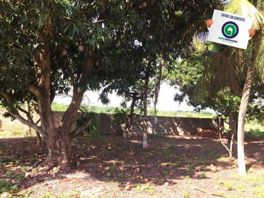 Chácara no bairro piquizeiro - Foto 4