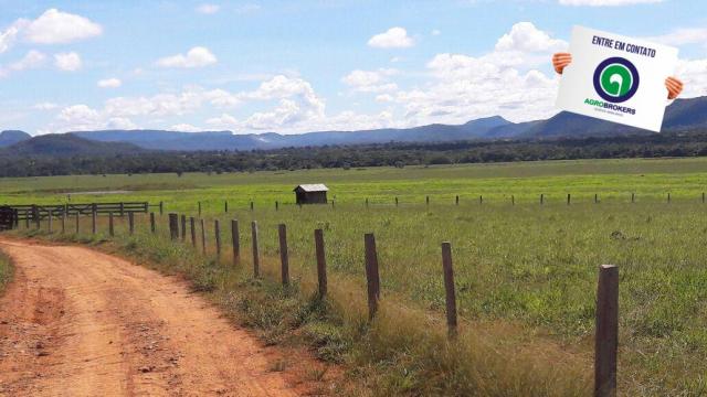 Fazenda 1.650 ha sentido caceres - Foto 2
