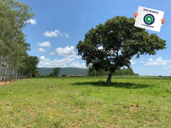 Fazenda 362,27ha acorizal - Foto 4