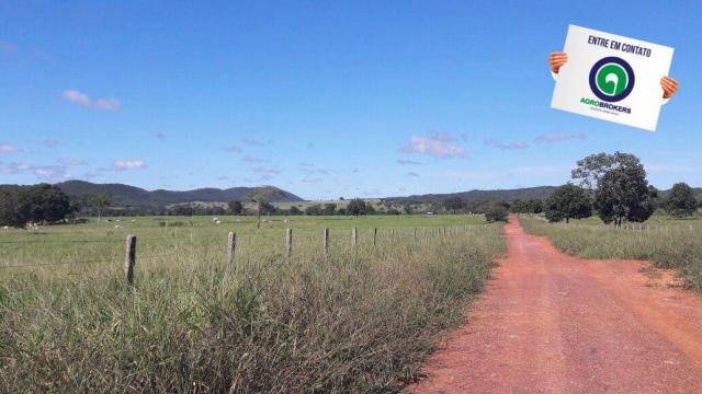 Fazenda 1.650 ha sentido caceres - Foto 12