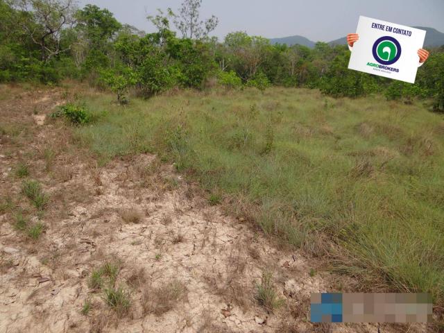 Fazenda 1.970ha - Foto 7