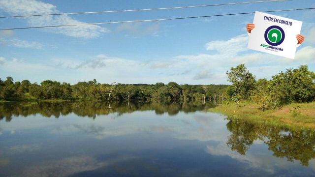 Fazenda na região livramento - Foto 15