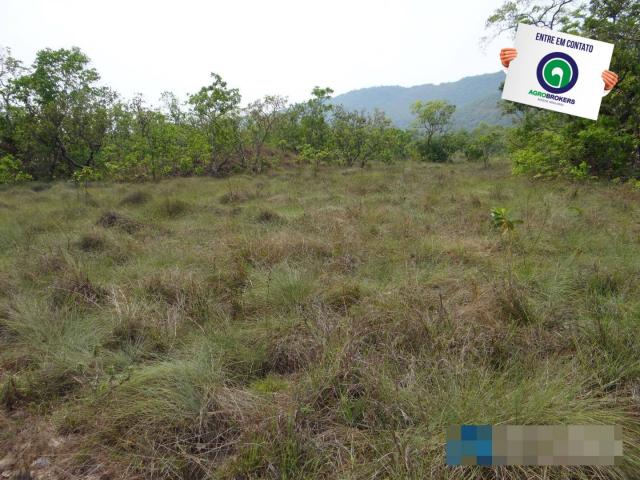 Fazenda 1.970ha - Foto 6