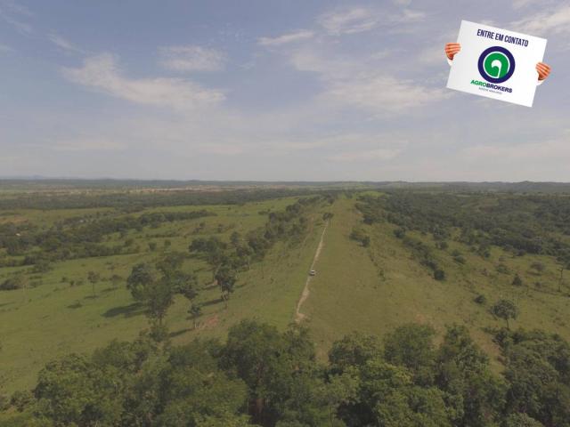 Fazenda 970 ha na beira do asfalto estrada de cáceres - Foto 7