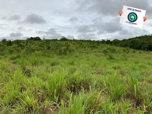 Fazenda 400 ha região de acorizal - Foto 12