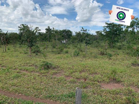 Fazenda 100 ha região de bom jardim - Foto 2