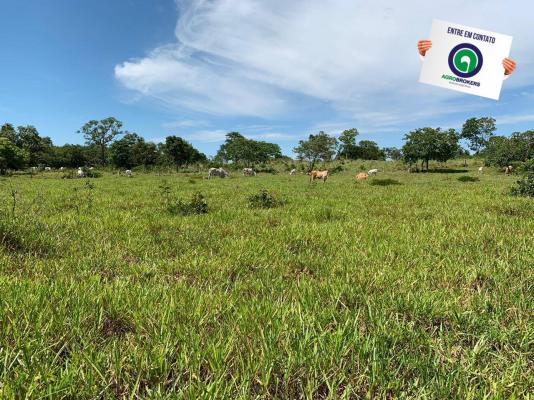 Fazenda 1000 ha região do olho d´água - Foto 12