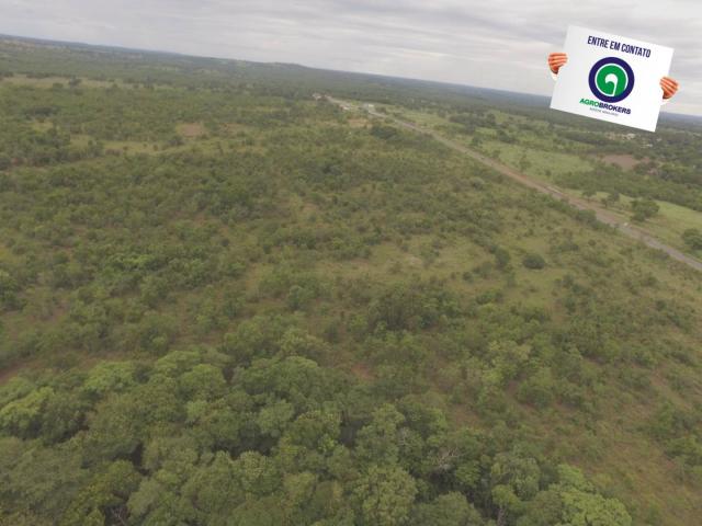 Fazenda 200 ha na beira do asfalto - Foto 11