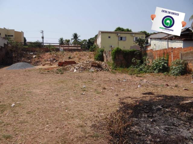 Terreno pico do amor - Foto 5