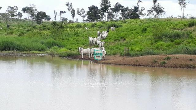 Itaju do Colônia. Fazenda pecuária de 1.200 Hectares - Foto 11