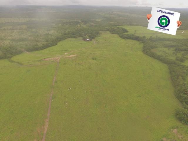 Fazenda 700 ha região do manso - Foto 14