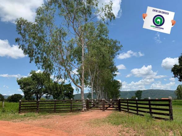 Fazenda 362,27ha acorizal