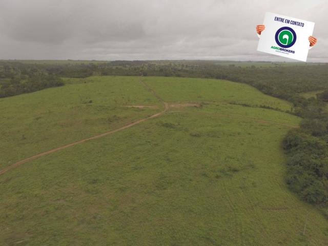 Fazenda 700 ha região do manso - Foto 5