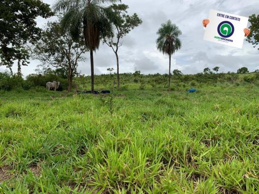 Fazenda 400 ha região de acorizal - Foto 13