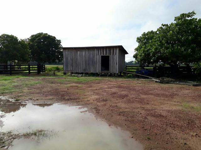 Fazenda em Senador - PA 200 alqueires (15 mil o alq) - Foto 4
