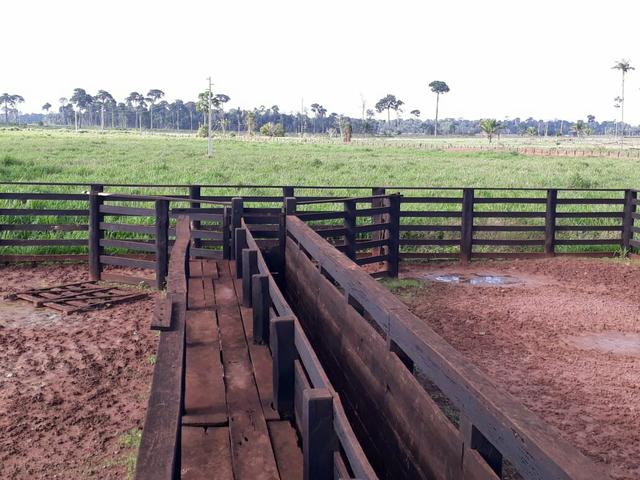 Fazenda em Senador - PA 200 alqueires (15 mil o alq) - Foto 3