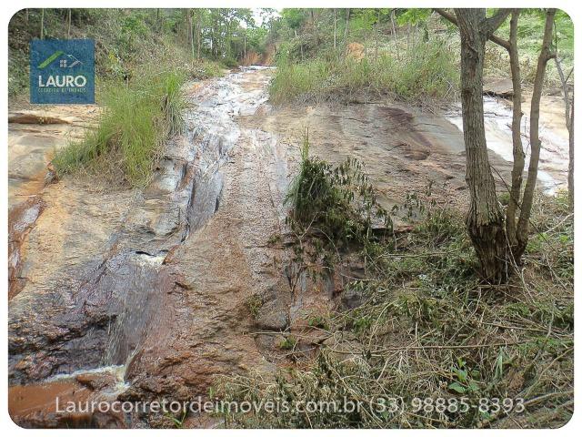 Sítio com 9 Alqueires a 30 km de T. Otoni - Foto 19