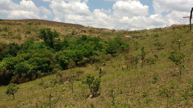 Chácaras em Águas Lindas de 5 mil a 20 mil m² - Foto 2