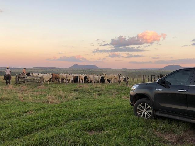 Nova Taquari MT Fazenda a 60 km da cidade com 2.480 hectares em pasto - Foto 10
