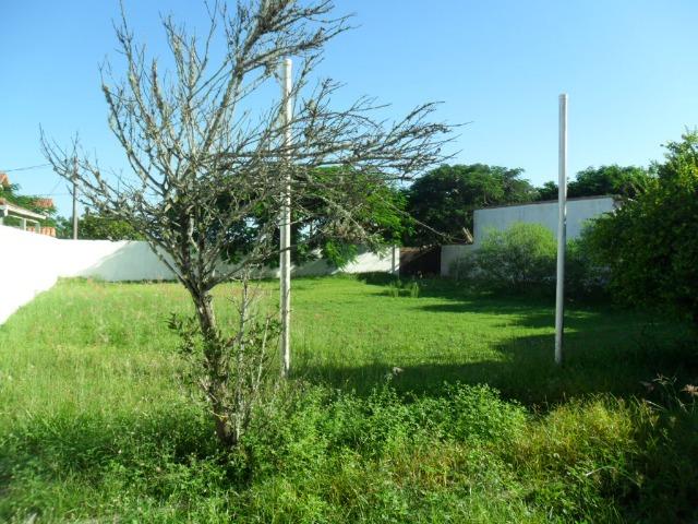 COD-127: Terreno em Vilatur - Saquarema - Foto 6