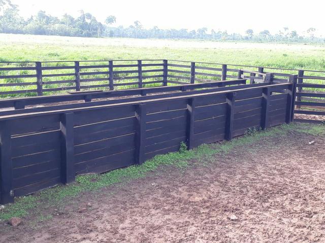 Fazenda em Senador - PA 200 alqueires (15 mil o alq) - Foto 2