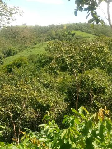 Fazenda em Unaí - MG - Foto 14