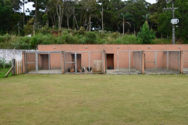 Chácara à venda em Planta granjas eldorado, Piraquara cod: * - Foto 17