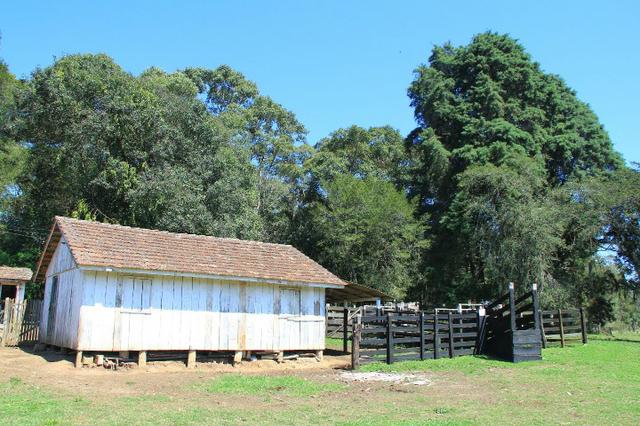 Chácara Araucária, 284.000m², tanques, nascente - Foto 6