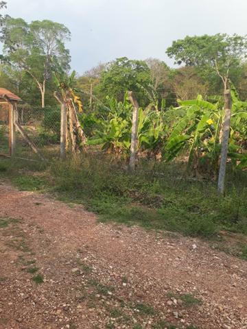 3 terrenos