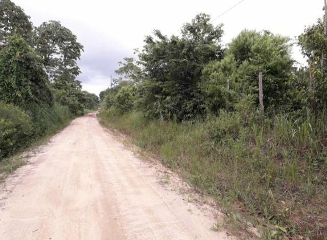 Terreno agrícola (Não tem igarapé) - Foto 3