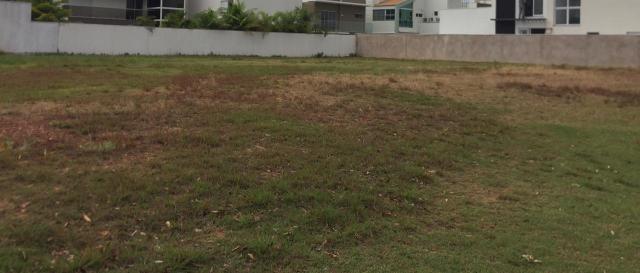Terreno à venda, 750 m² - loteamento alphaville ii - cuiabá/mt - Foto 8
