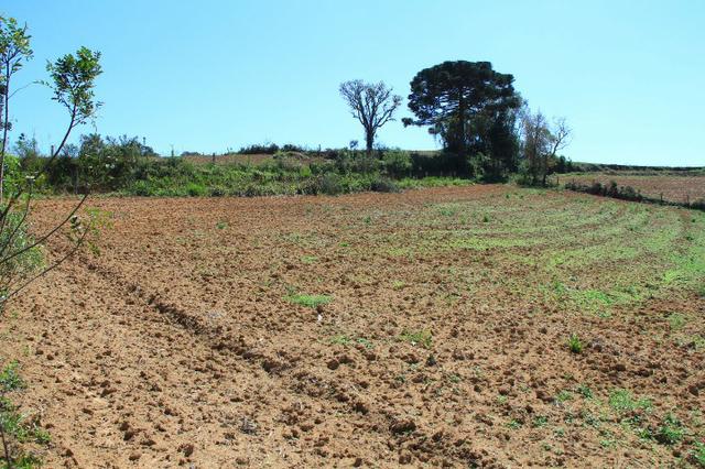 Chácara Araucária, 284.000m², tanques, nascente - Foto 8