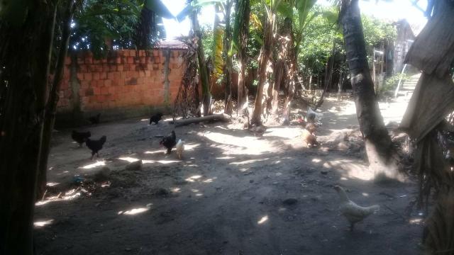 Sitio com casa maruim - Foto 5