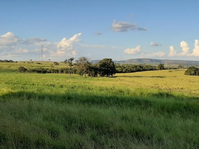 Fazenda Guiratinga MT 6.080 Ha - Foto 16