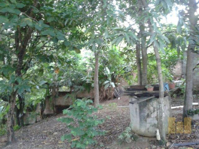 Terreno residencial à venda, barro duro, maceió. - Foto 4