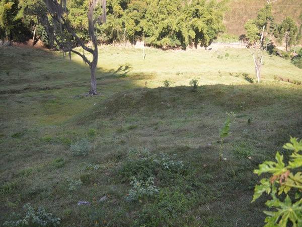 Lindo Sítio com Casa Centenária - Foto 4