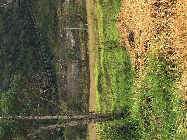GE Mairiporã 500m2 lindo terreno por R$10.000 de entrada.GE - Foto 5