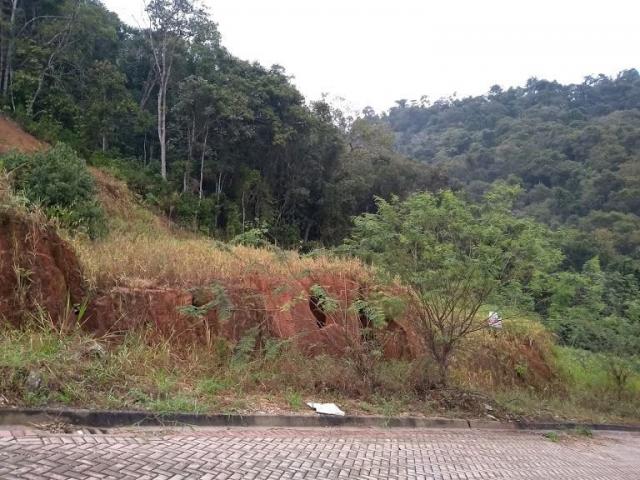 Terreno residencial - águas claras - loteamento independência