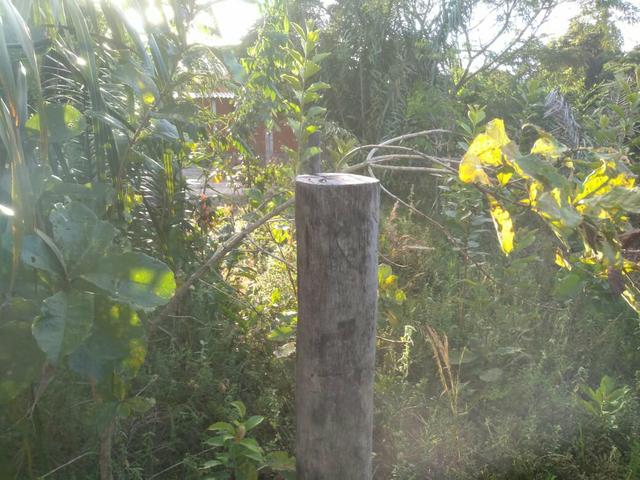 Terreno no Distrito de Curralinho, próximo a Sauípe - Foto 2